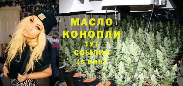индика Касимов