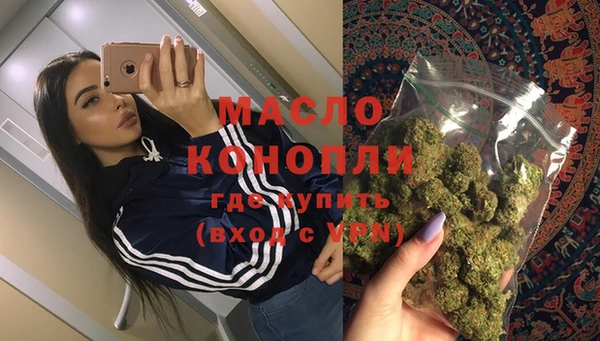 мет Каменка