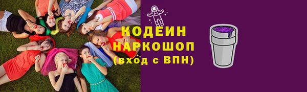 индика Касимов