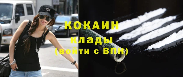индика Касимов