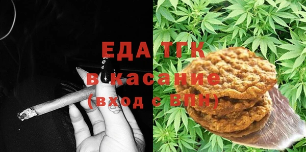 индика Касимов