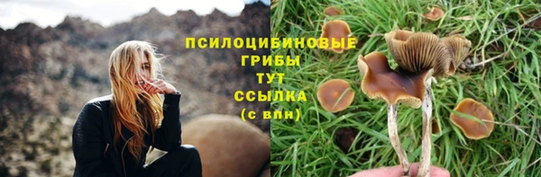 индика Касимов