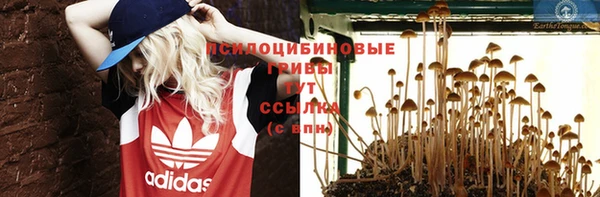 индика Касимов