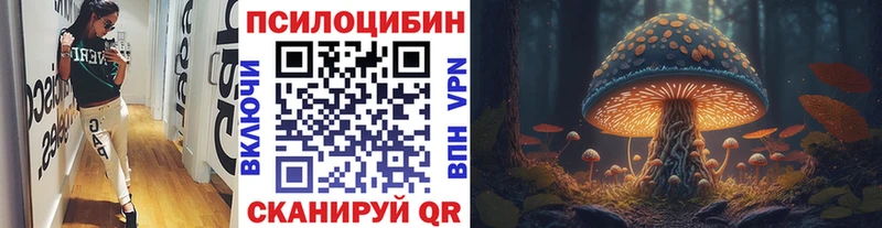 Купить  Макарьев  Галлюциногенные грибы прущие грибы 
