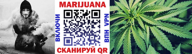 Купить где  Макарьев  Шишки марихуана сатива 